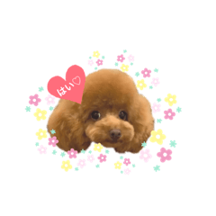 [LINEスタンプ] ROYくん Lanaちゃん