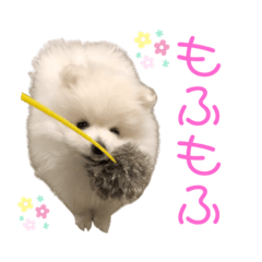 [LINEスタンプ] あんじゅスタンプ①