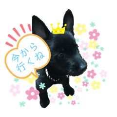 [LINEスタンプ] ハル＊1229