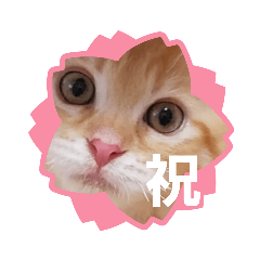 [LINEスタンプ] ラガマフィンのちゃあちゃん2