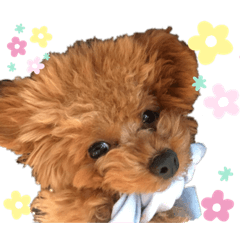 [LINEスタンプ] ちくわちゃん2