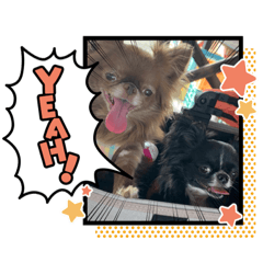 [LINEスタンプ] デイビー’S