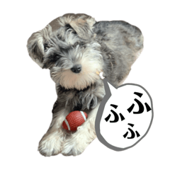 [LINEスタンプ] ジジこやん