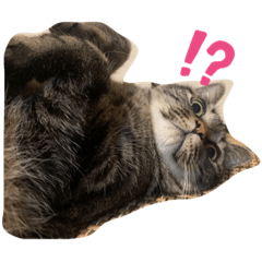 [LINEスタンプ] まるともだぉ。