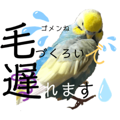 [LINEスタンプ] ほっぺちゃん集