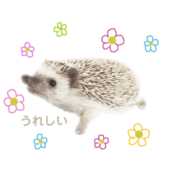 [LINEスタンプ] うなの絵とかかぞく