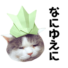 [LINEスタンプ] 千代丸くん実写版