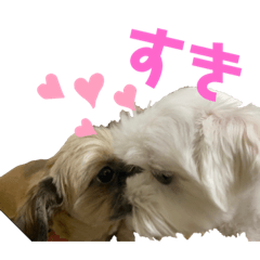[LINEスタンプ] グルト＆ラテ 日常生活ver.