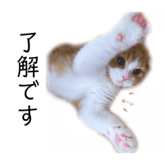 [LINEスタンプ] ポポ☆日常スタンプ①