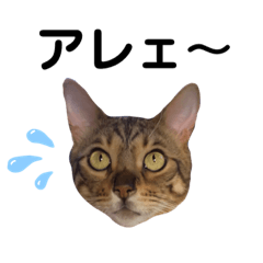 [LINEスタンプ] ちきゅう様 12