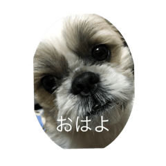 [LINEスタンプ] 僕らのボス