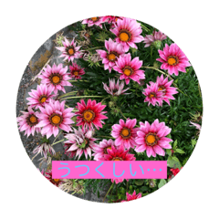[LINEスタンプ] 花々の叫び