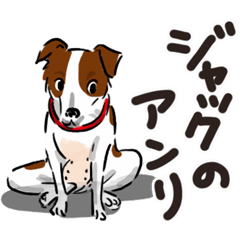 [LINEスタンプ] ジャックラッセルテリアのアンリ