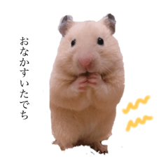 [LINEスタンプ] キンクマハムスターのつぶら