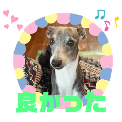 [LINEスタンプ] ディープくんの家族