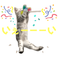 [LINEスタンプ] ジィルスタンプ③