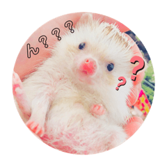 [LINEスタンプ] はりはりすたんぷ