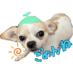 [LINEスタンプ] ウチの子スタイル❶