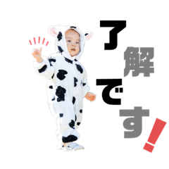[LINEスタンプ] Shochan stamp ⑴