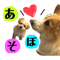 [LINEスタンプ] モカとおともだちのラッキー