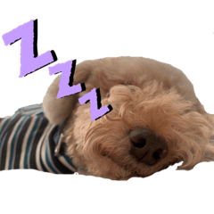 [LINEスタンプ] ワンワンワン1