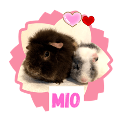 [LINEスタンプ] ❤︎ふくねちゃん❤︎