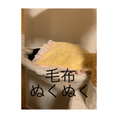 [LINEスタンプ] 冬のまるのスタンプ