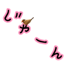 [LINEスタンプ] とりまみれ、ぽんずver