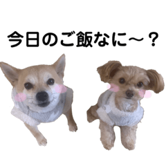 [LINEスタンプ] くうめる日常スタンプ
