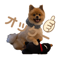 [LINEスタンプ] 鈴木家のポン太のスタンプです。多分3代目