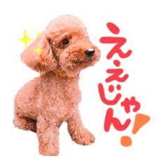 [LINEスタンプ] りゅっくちゃんスタンプ