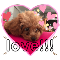 [LINEスタンプ] ちくわと言います♡