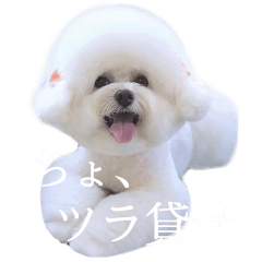 [LINEスタンプ] わいのモップ