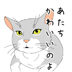 [LINEスタンプ] てまりと大きな仔猫たち