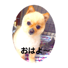 [LINEスタンプ] スーさん家族2