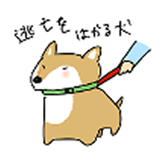 [LINEスタンプ] awawaお誕生日おめでとう