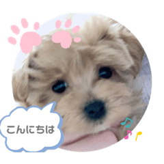 [LINEスタンプ] きなスタンプ1、
