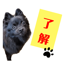 [LINEスタンプ] 【手作り】さくらスタンプ