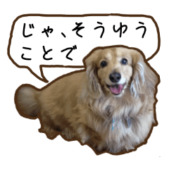 [LINEスタンプ] 日常LINE〜犬(うちのとろんちゃん)と一緒