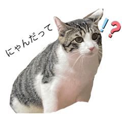 [LINEスタンプ] みまこトリオ