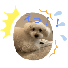 [LINEスタンプ] スノーウィーの日常