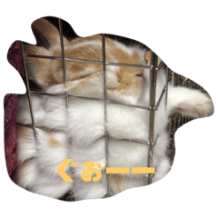 [LINEスタンプ] U-chan stanp2