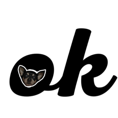 [LINEスタンプ] ミニピンのちょこび