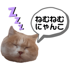 [LINEスタンプ] ねこのちろるのスタンプ