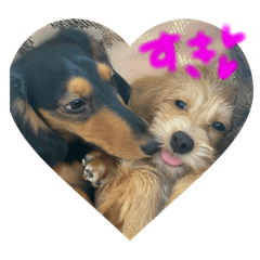 [LINEスタンプ] 茶ベニ時々あーちゃん