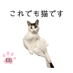[LINEスタンプ] cat暮らし