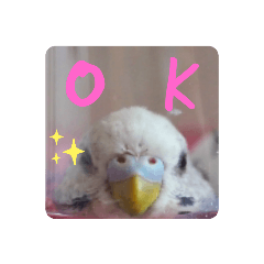 [LINEスタンプ] INKO PICHAN1
