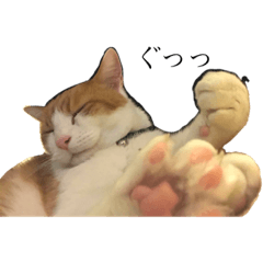 [LINEスタンプ] しゃーくんスタンプ②