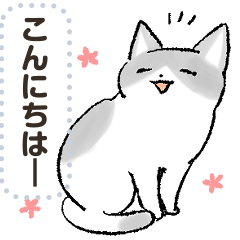 [LINEスタンプ] 猫ちゃんメッセージスタンプの画像（メイン）