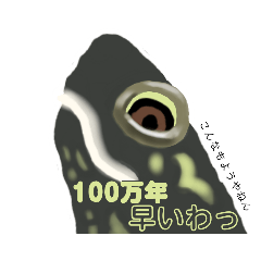 [LINEスタンプ] 亀ってなんてかわいいの♥3